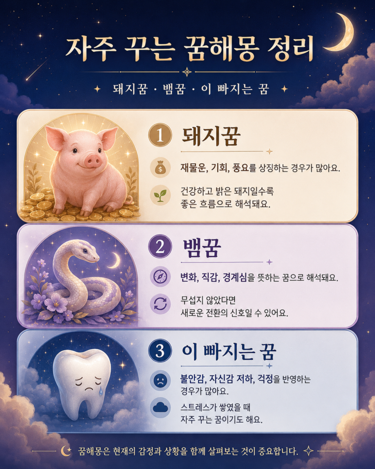 자주 꾸는 꿈해몽 돼지꿈 뱀꿈 이 빠지는 꿈 정리 인포그래픽