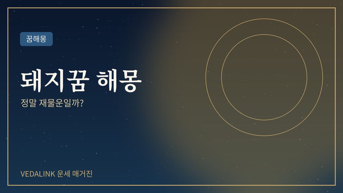 돼지꿈 해몽을 표현한 대표 이미지